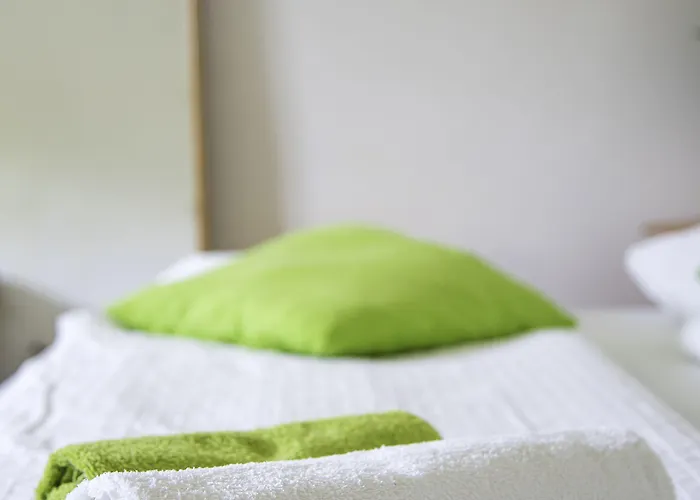 Cebelja Zibka Lubiana